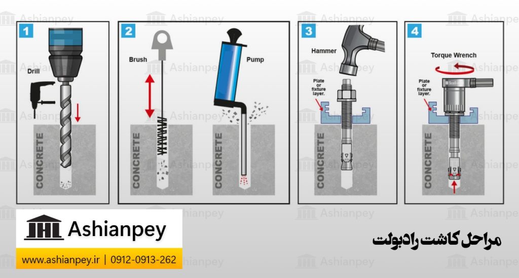 مراحل کاشت رادبولت